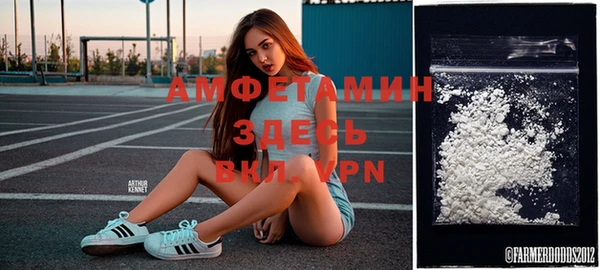ешки Пересвет